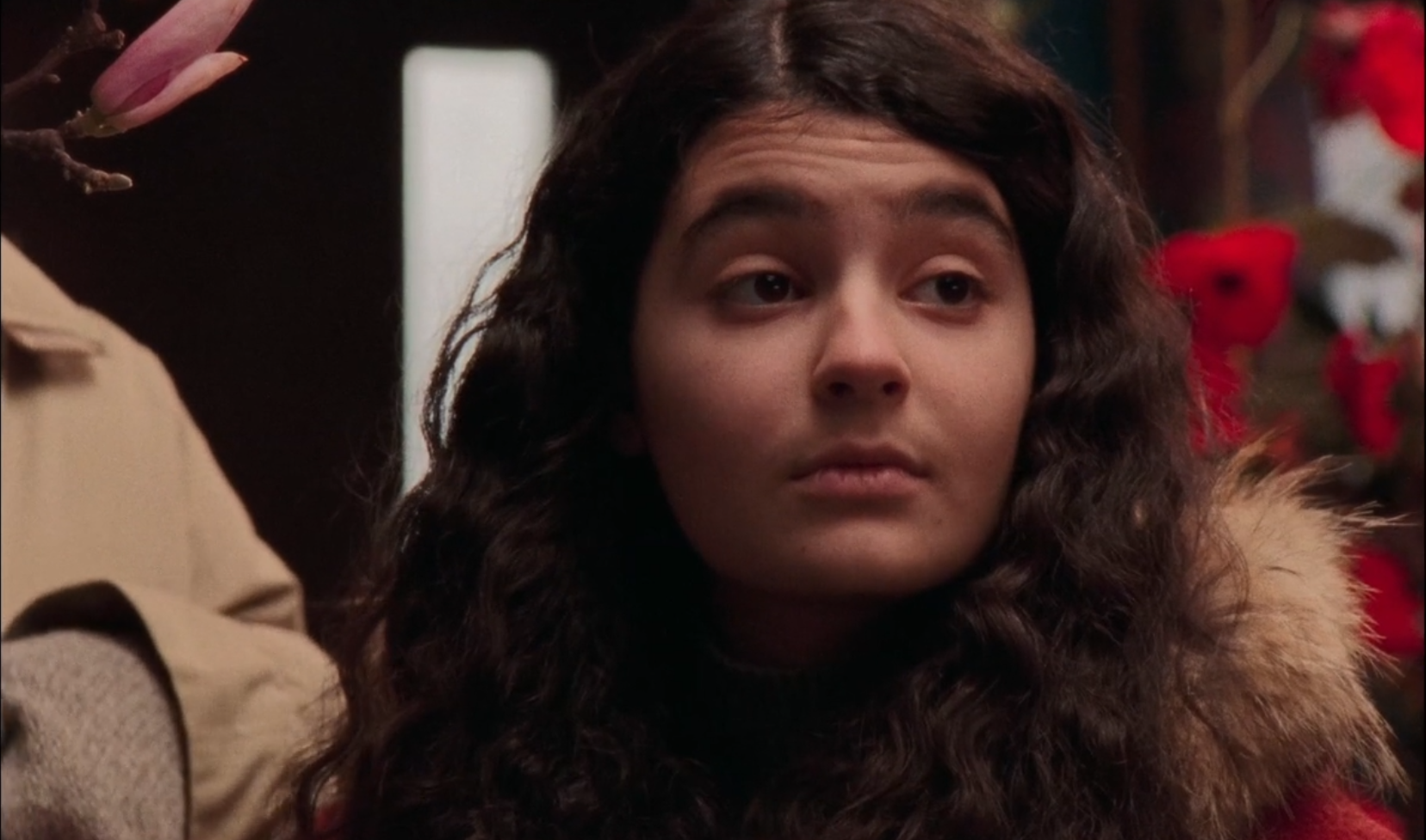 Une langue universelle choisi pour représenter le Canada